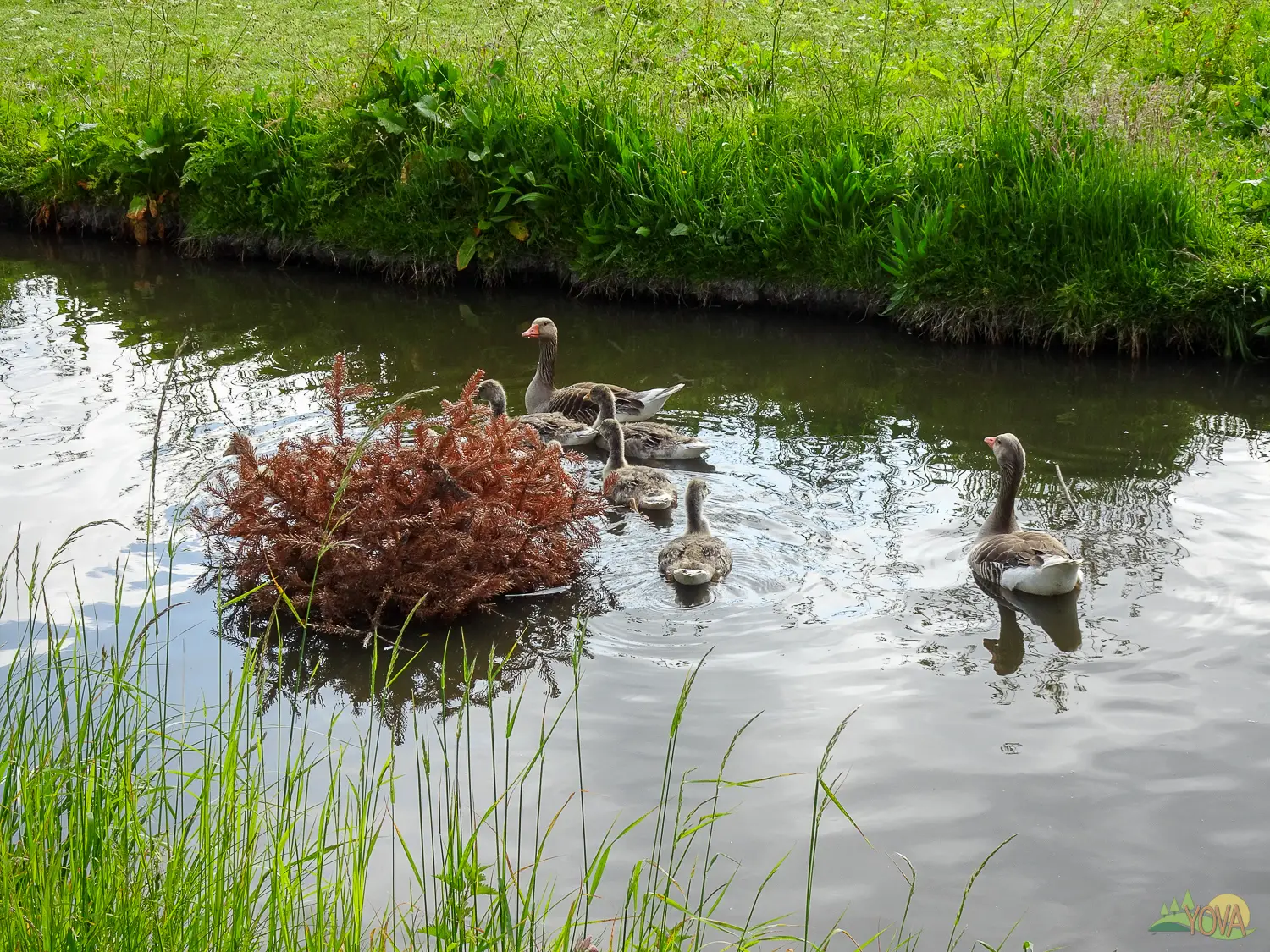 Veranderlijk weerbeeld