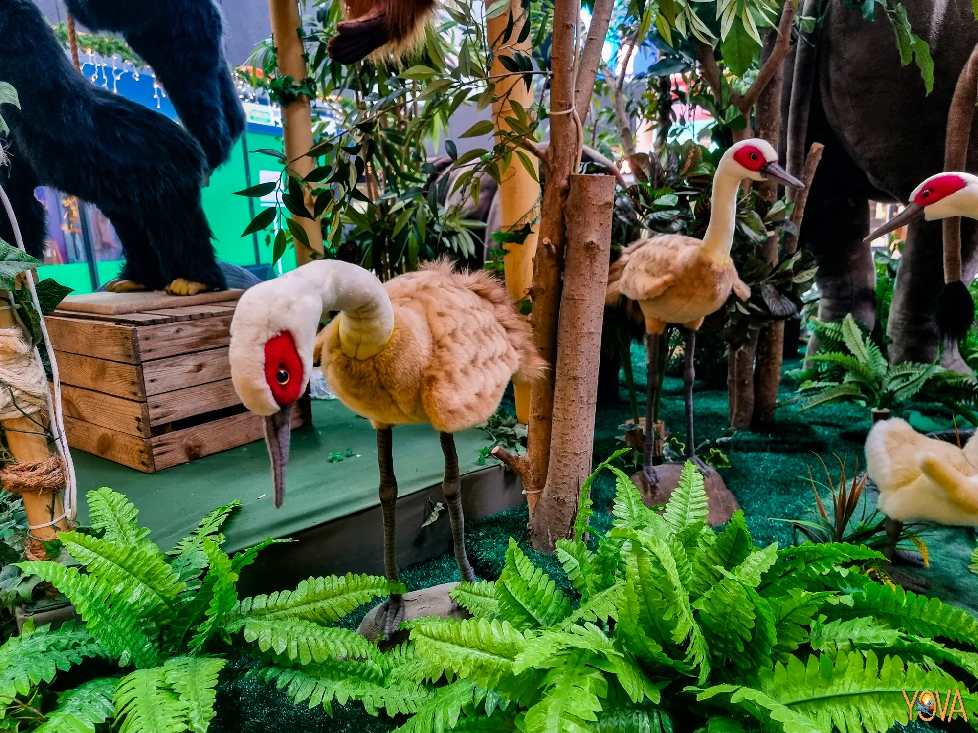 Opnieuw “dierentuin” bij Schalkwijk